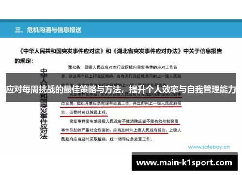 应对每周挑战的最佳策略与方法，提升个人效率与自我管理能力